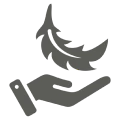 Gentle touch with feather illustration
